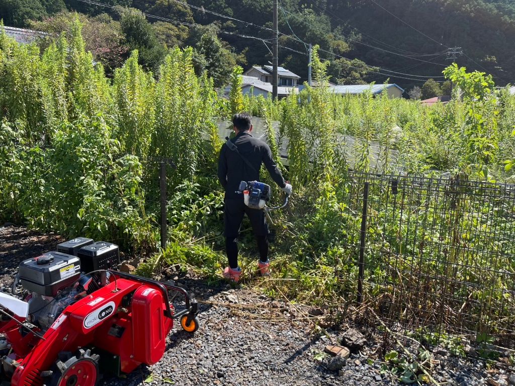 草刈り作業